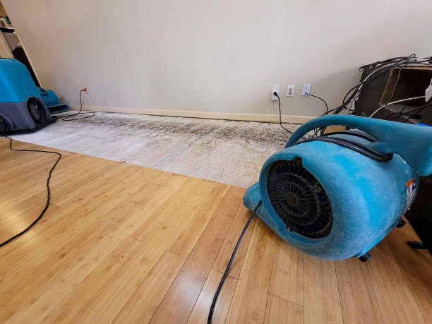 Professional Structural Drying technician working in Marion, KS